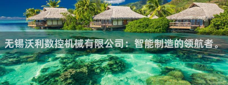 菲律宾天辰娱乐:无锡沃利数控机械有限公司:智能制造的领航者。