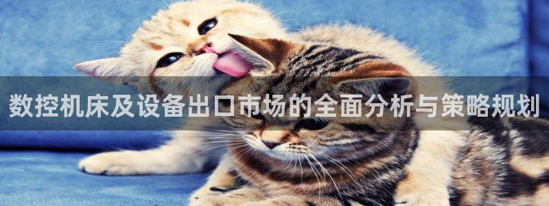 天辰娱乐天辰宝:数控机床及设备出口市场的全面分析与策略规划