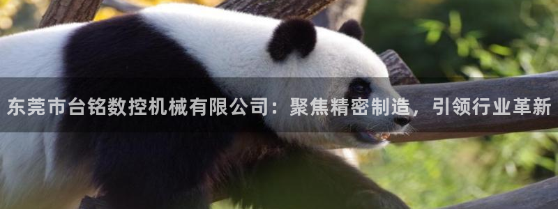 天辰娱乐平台靠谱么：东莞市台铭数控机械有限公司：聚焦精密制造，引领行业革新