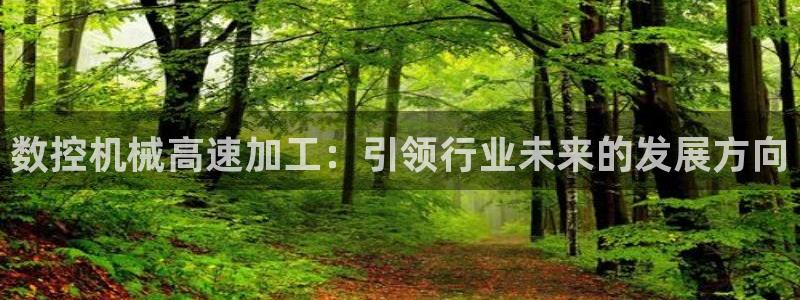 天辰娱乐在线:数控机械高速加工:引领行业未来的发展方向