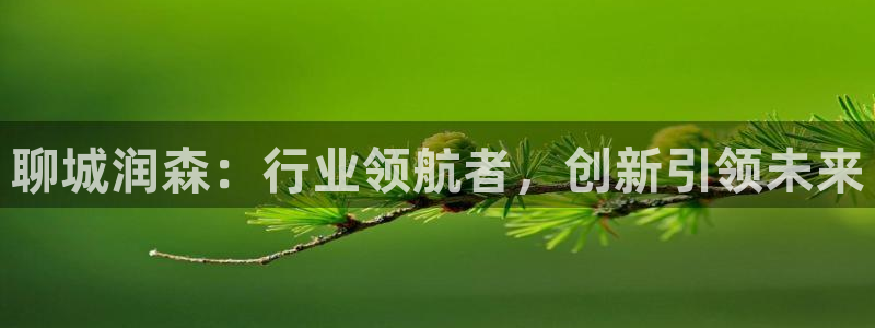 娱乐ktv天辰:聊城润森:行业领航者,创新引领未来