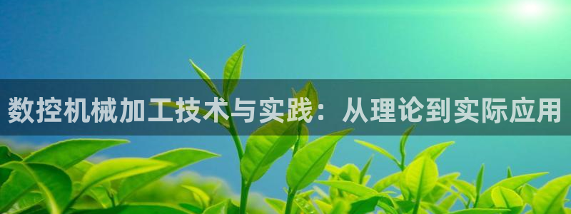 天辰娱乐股东:数控机械加工技术与实践:从理论到实际应用