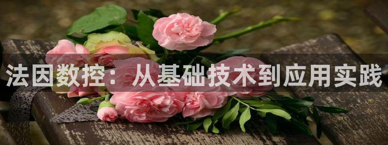 天辰娱乐会员：法因数控：从基础技术到应用实践