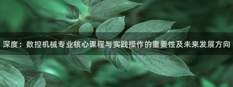 天辰娱乐60447