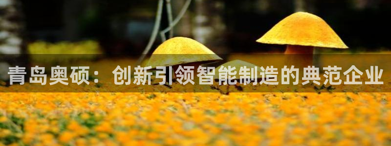 天辰娱乐平台娱乐注册