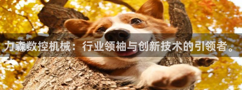 天辰娱乐台湾：力森数控机械：行业领袖与创新技术的引领者。