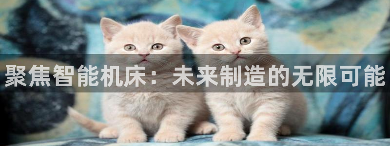 天辰娱乐登录测试