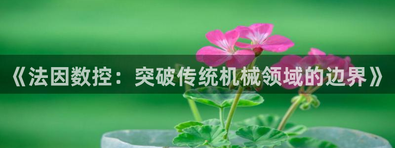 天辰娱乐1966