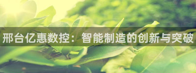 辰天娱乐用品
