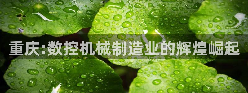 天辰娱乐app