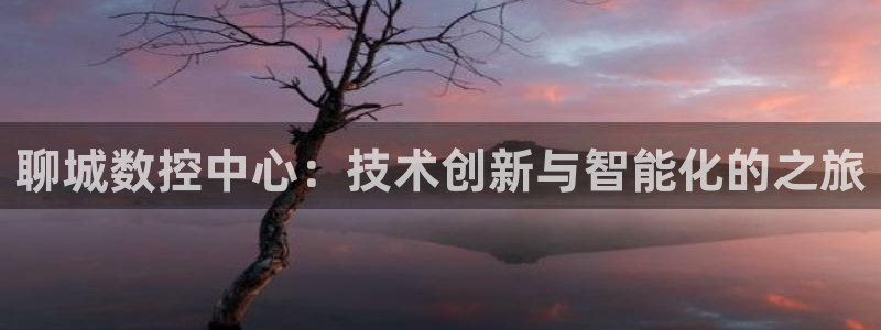 天辰娱乐国际：聊城数控中心：技术创新与智能化的之旅